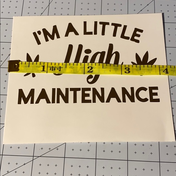 4/$15 High Maintenance Vinyl Decal - Picture 2 of 5